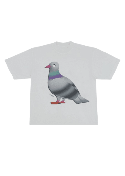 Airbrush Boxy T-shirt Pigeon
